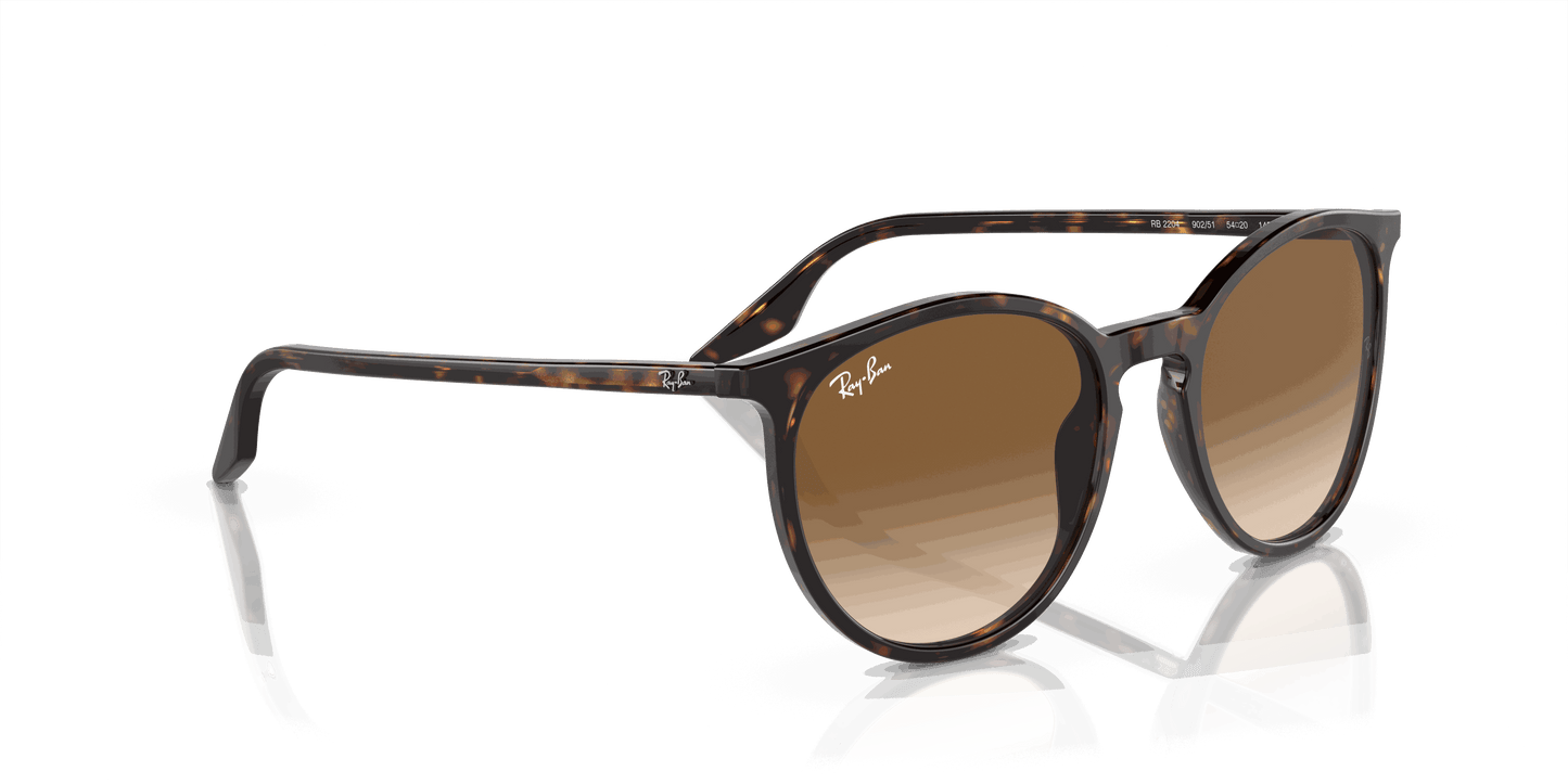 [Light Brown Lenses, Polished Havana Frame]