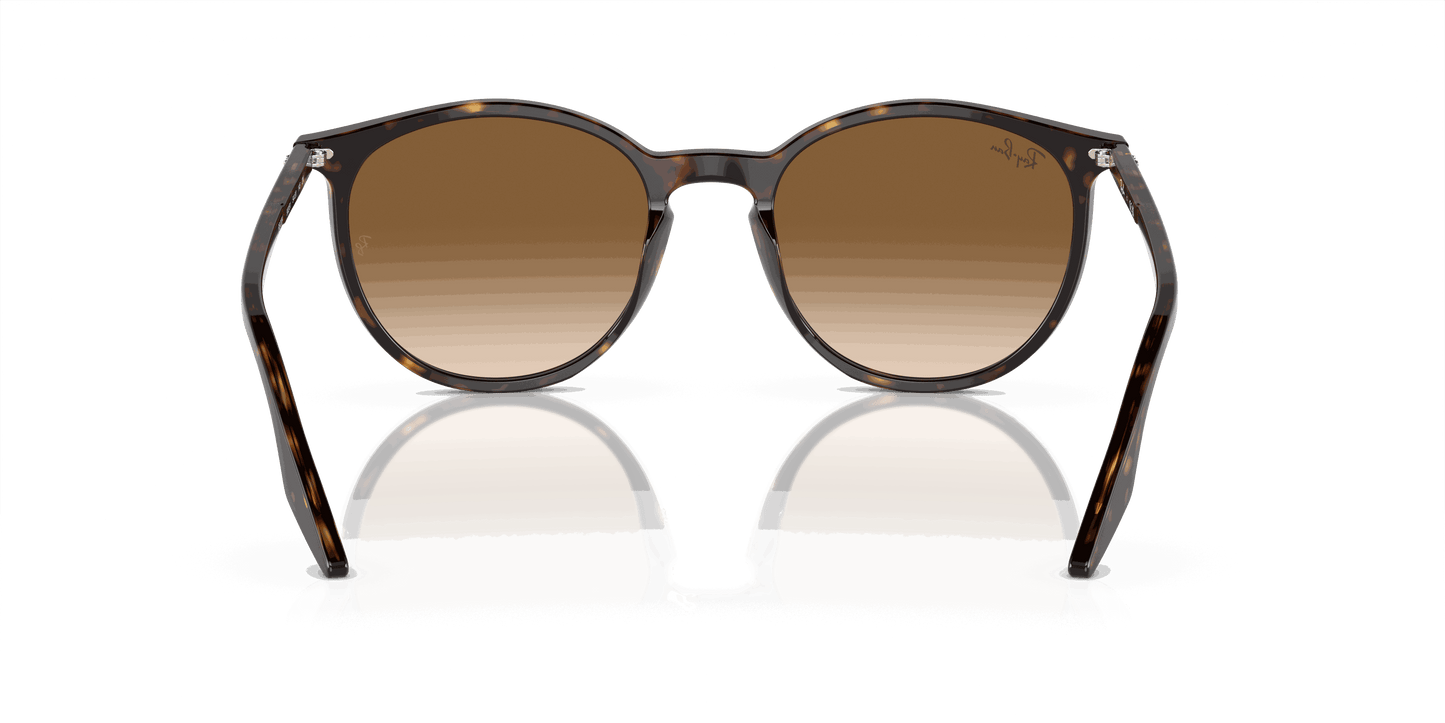 [Light Brown Lenses, Polished Havana Frame]