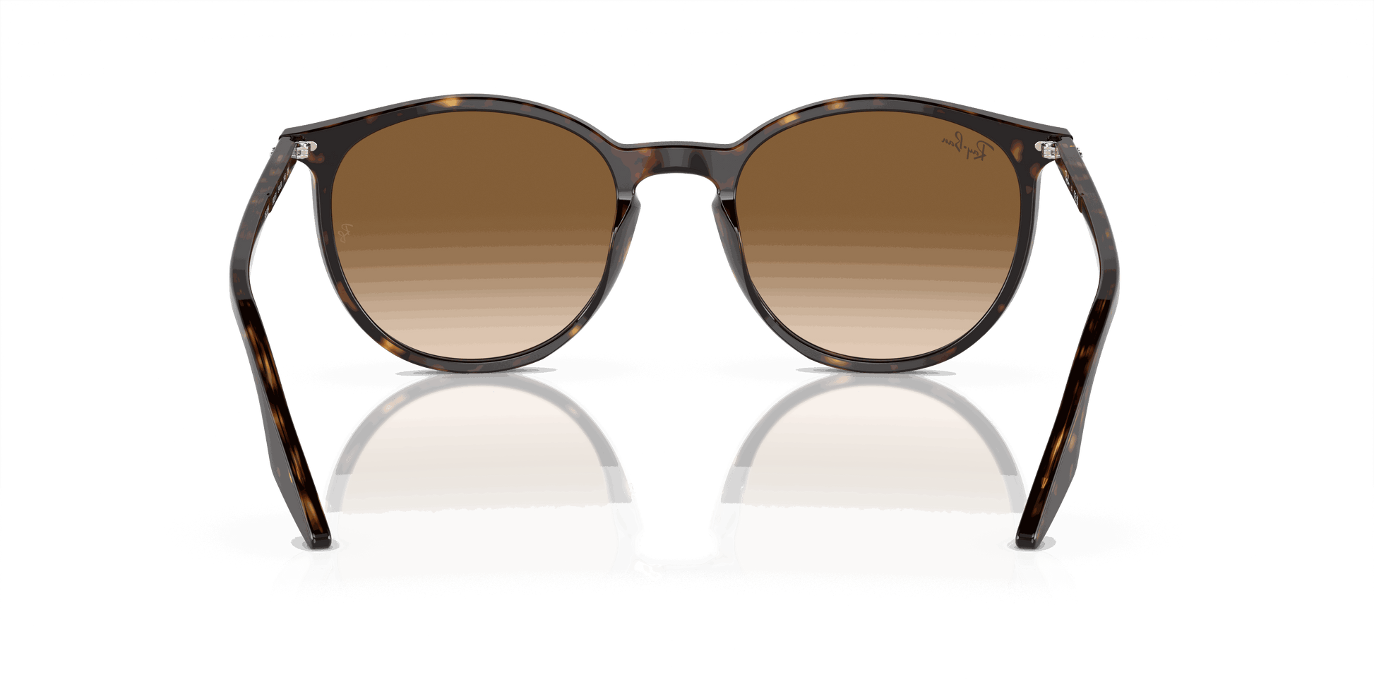 [Light Brown Lenses, Polished Havana Frame]
