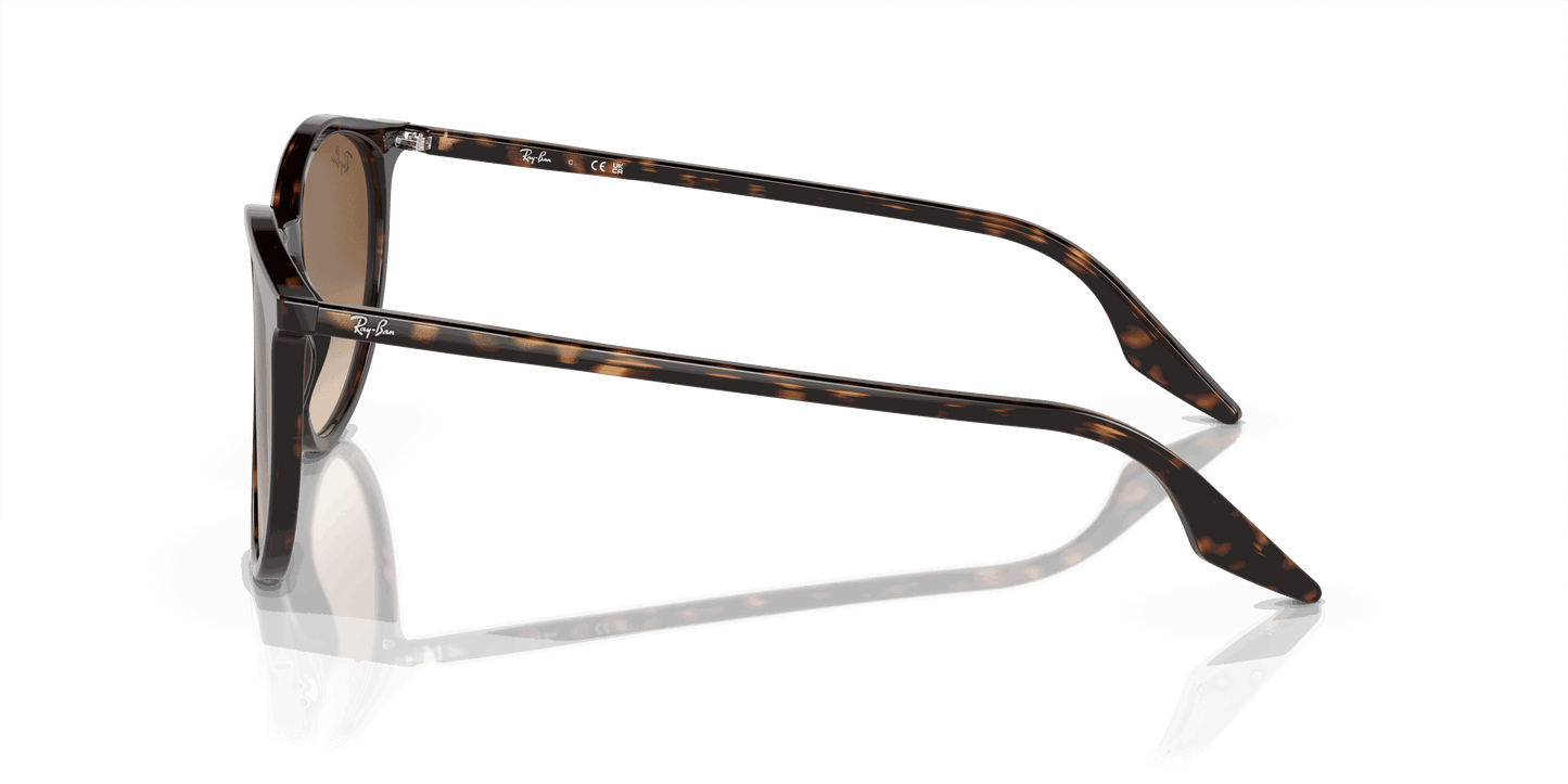 [Light Brown Lenses, Polished Havana Frame]