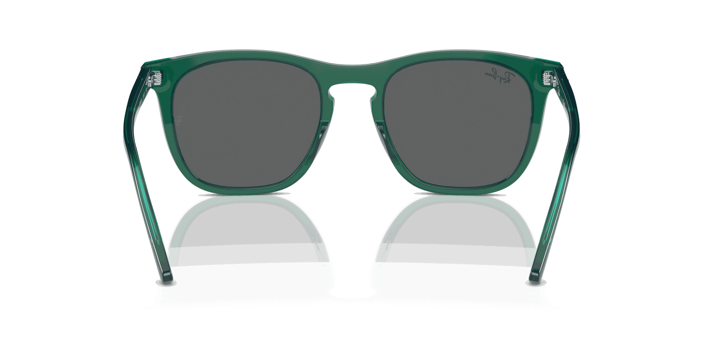 [Dark Grey Lenses, Polished Transparent Green Frame]