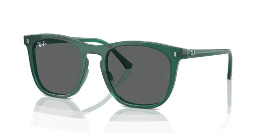[Dark Grey Lenses, Polished Transparent Green Frame]