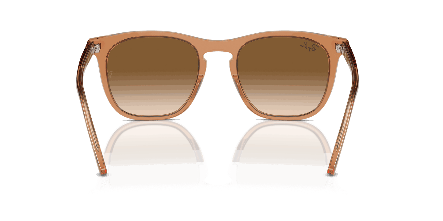 [Clear & Brown Lenses, Polished Transparent Brown Frame]