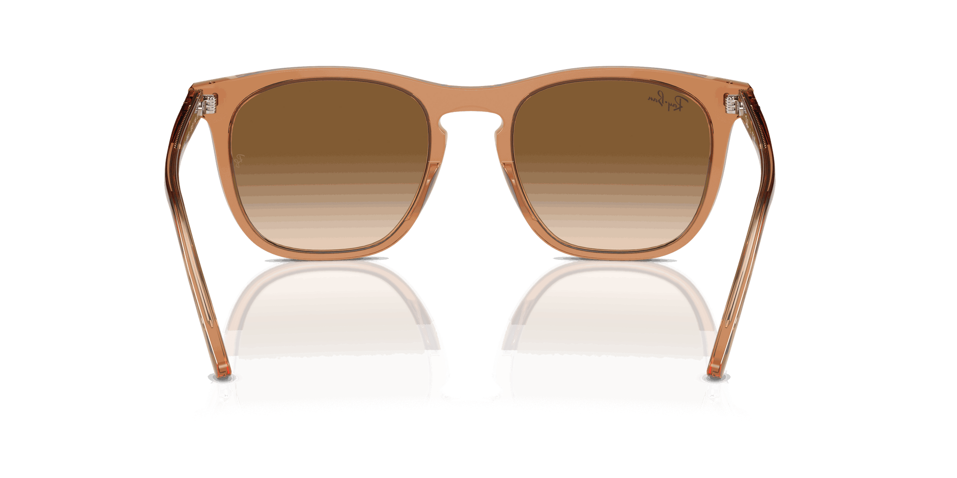 [Clear & Brown Lenses, Polished Transparent Brown Frame]