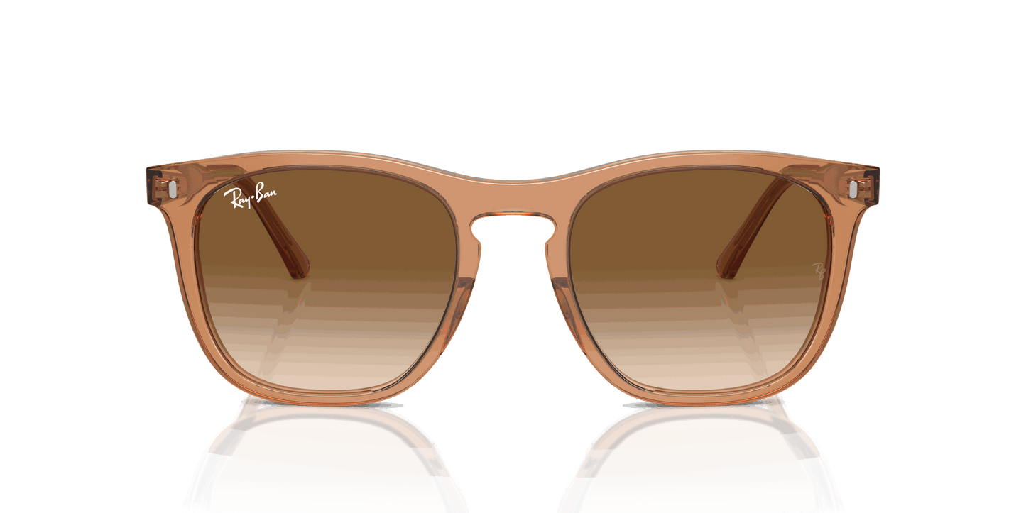 [Clear & Brown Lenses, Polished Transparent Brown Frame]