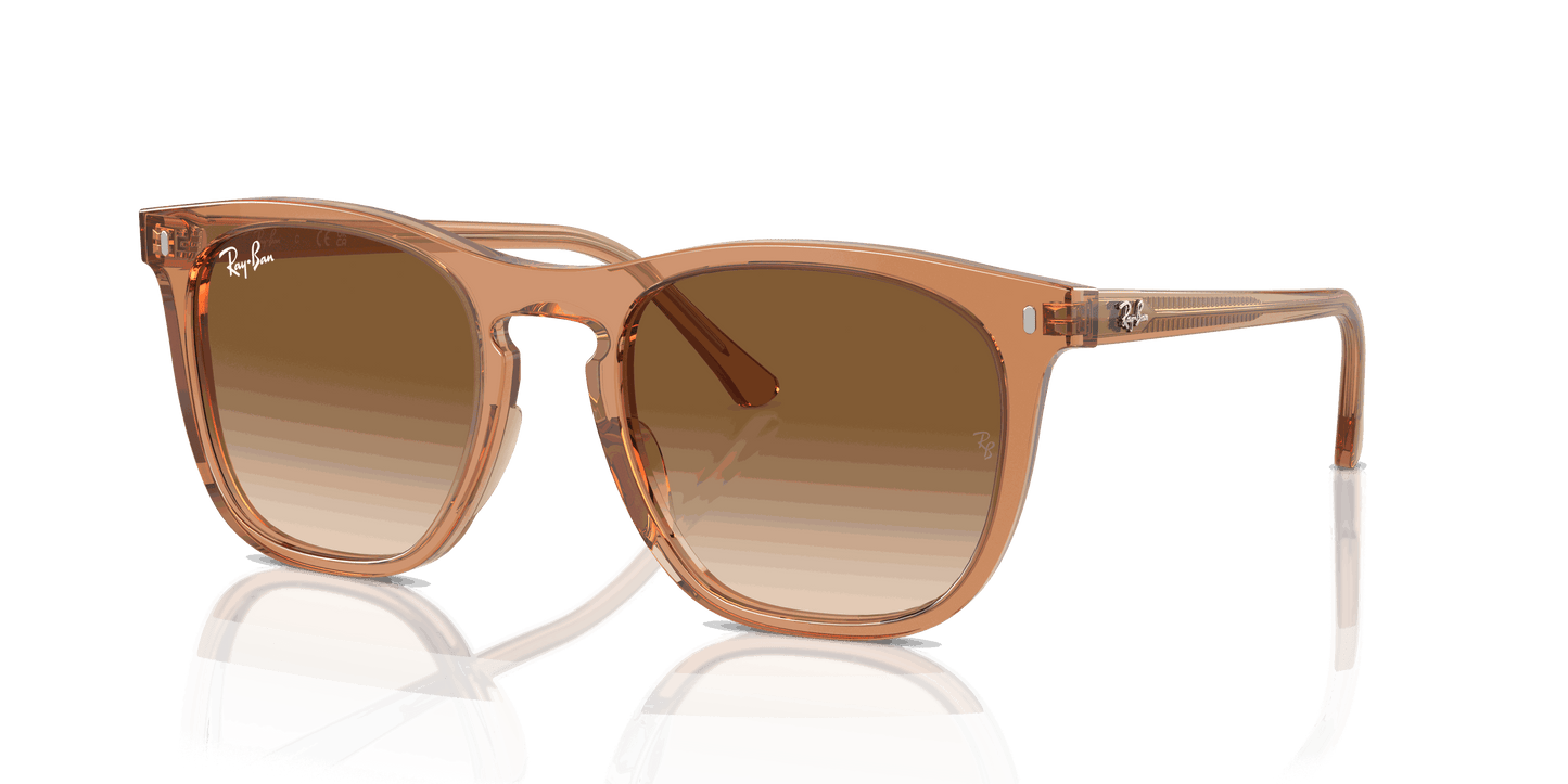 [Clear & Brown Lenses, Polished Transparent Brown Frame]