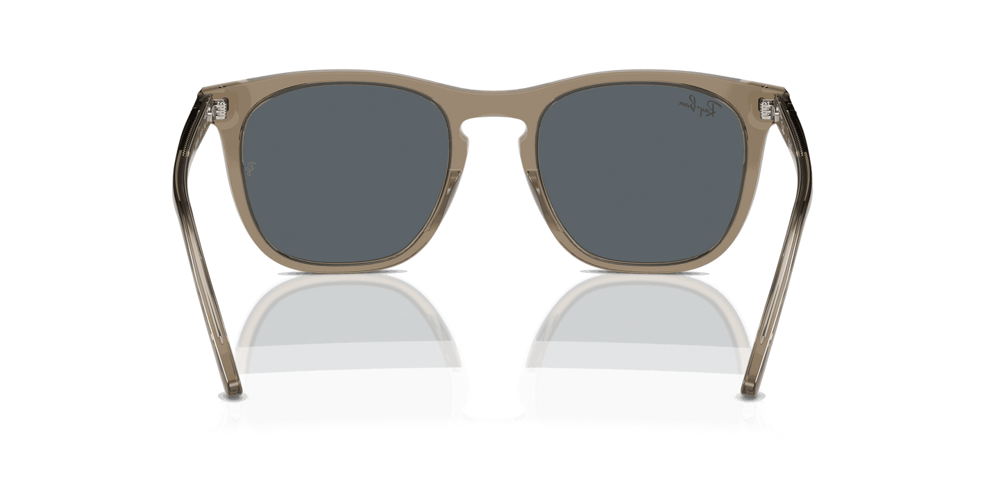 [Blue Lenses, Polished Transparent Brown Frame]