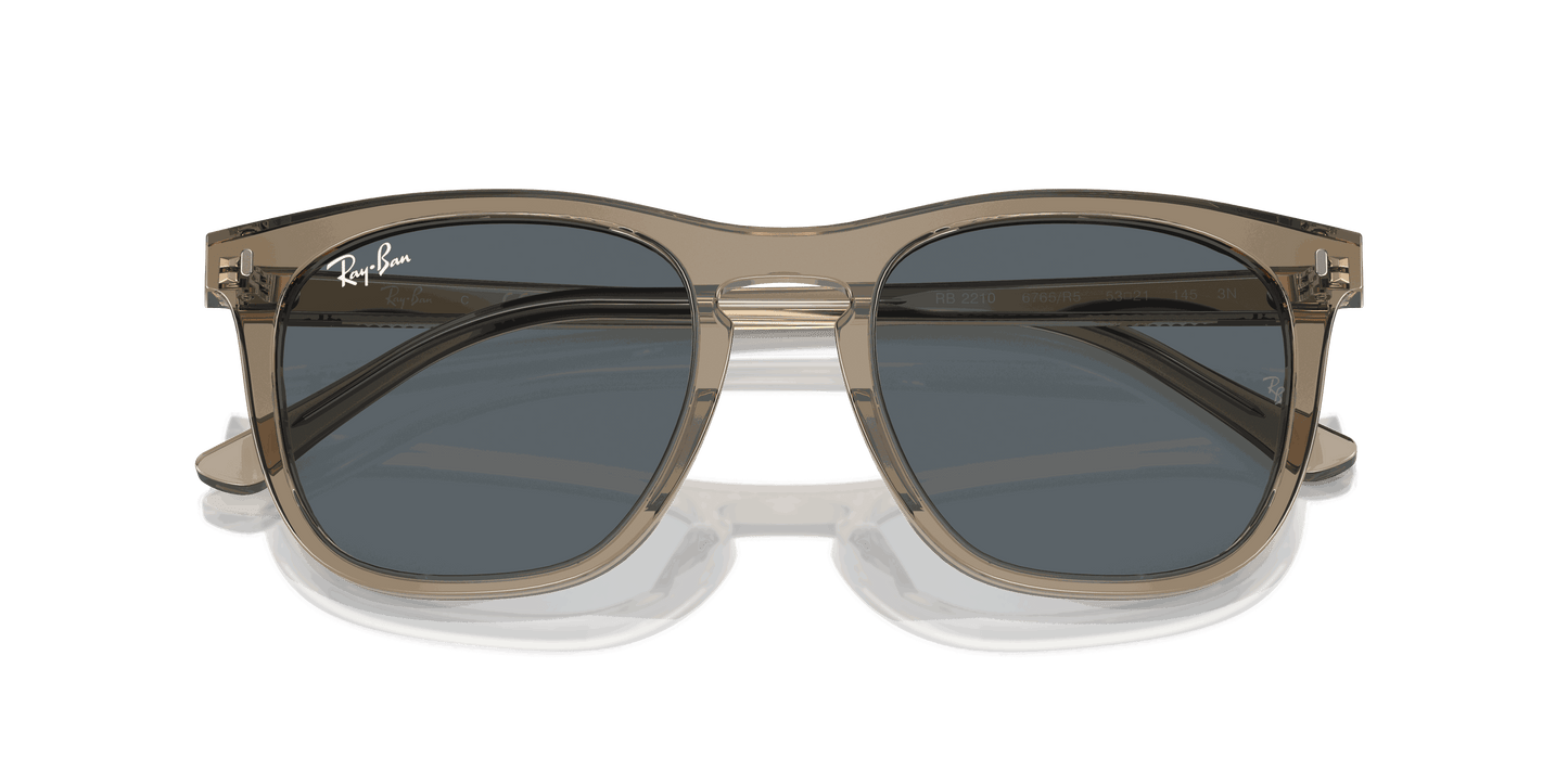 [Blue Lenses, Polished Transparent Brown Frame]