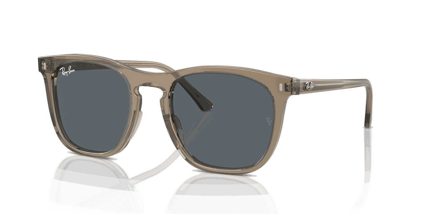 [Blue Lenses, Polished Transparent Brown Frame]