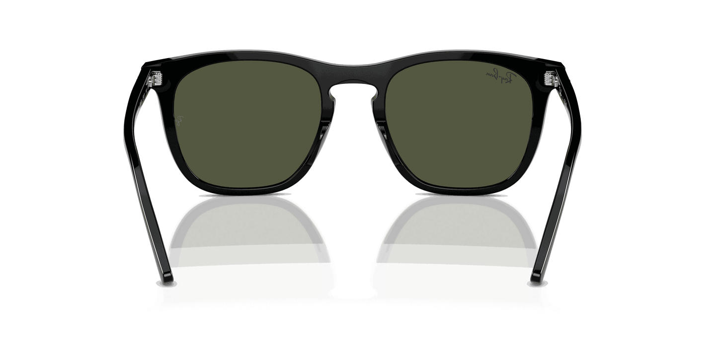 [Green Lenses, Polished Black Frame]