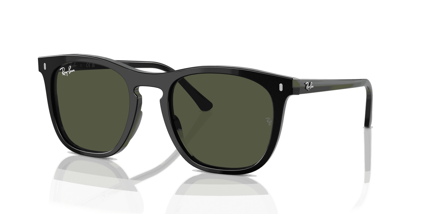 [Green Lenses, Polished Black Frame]