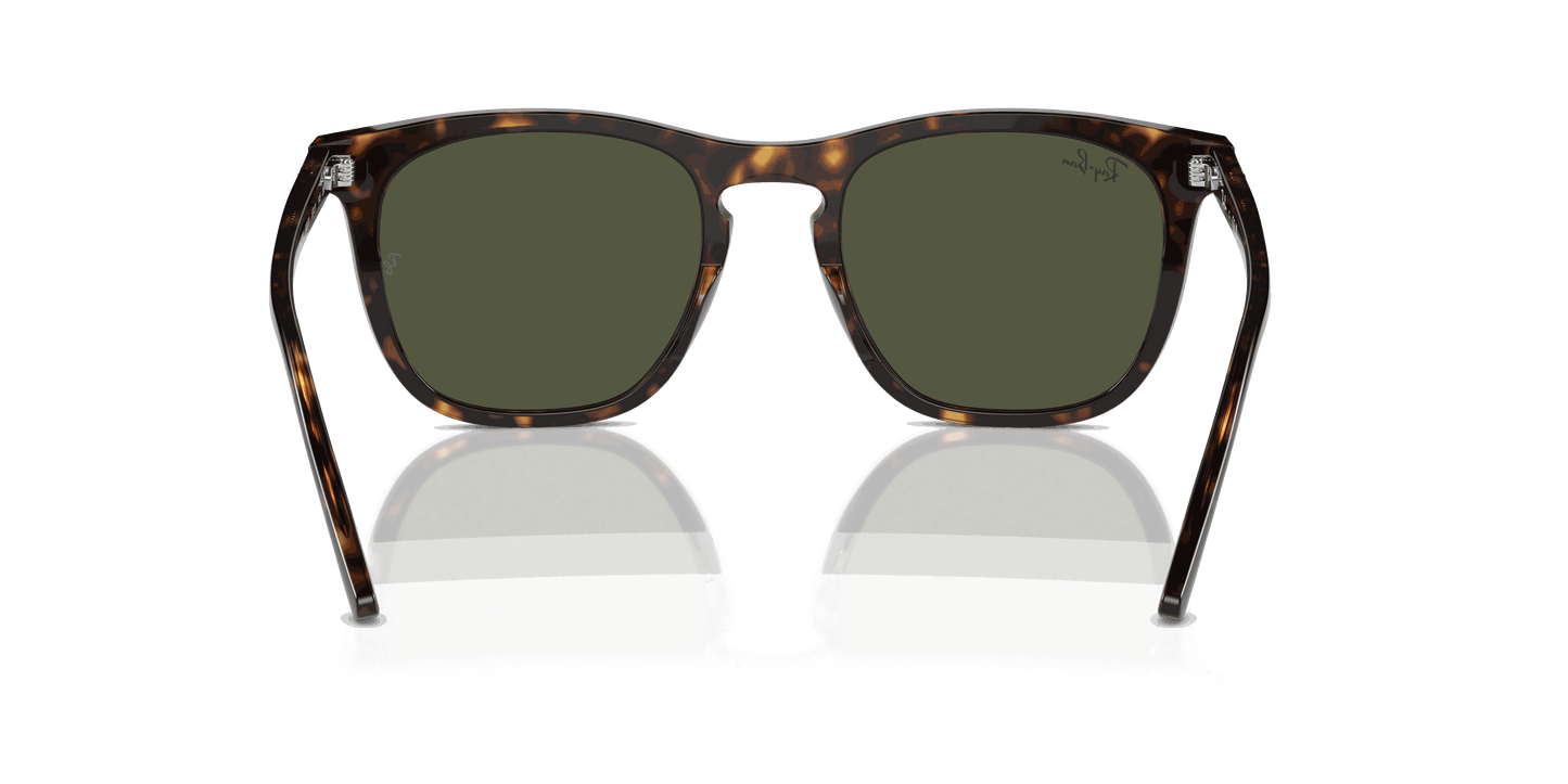 [Green Lenses, Polished Havana Frame]