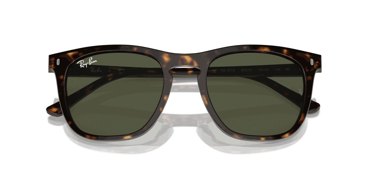 [Green Lenses, Polished Havana Frame]