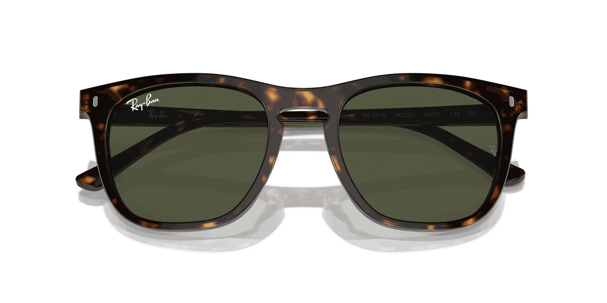 [Green Lenses, Polished Havana Frame]
