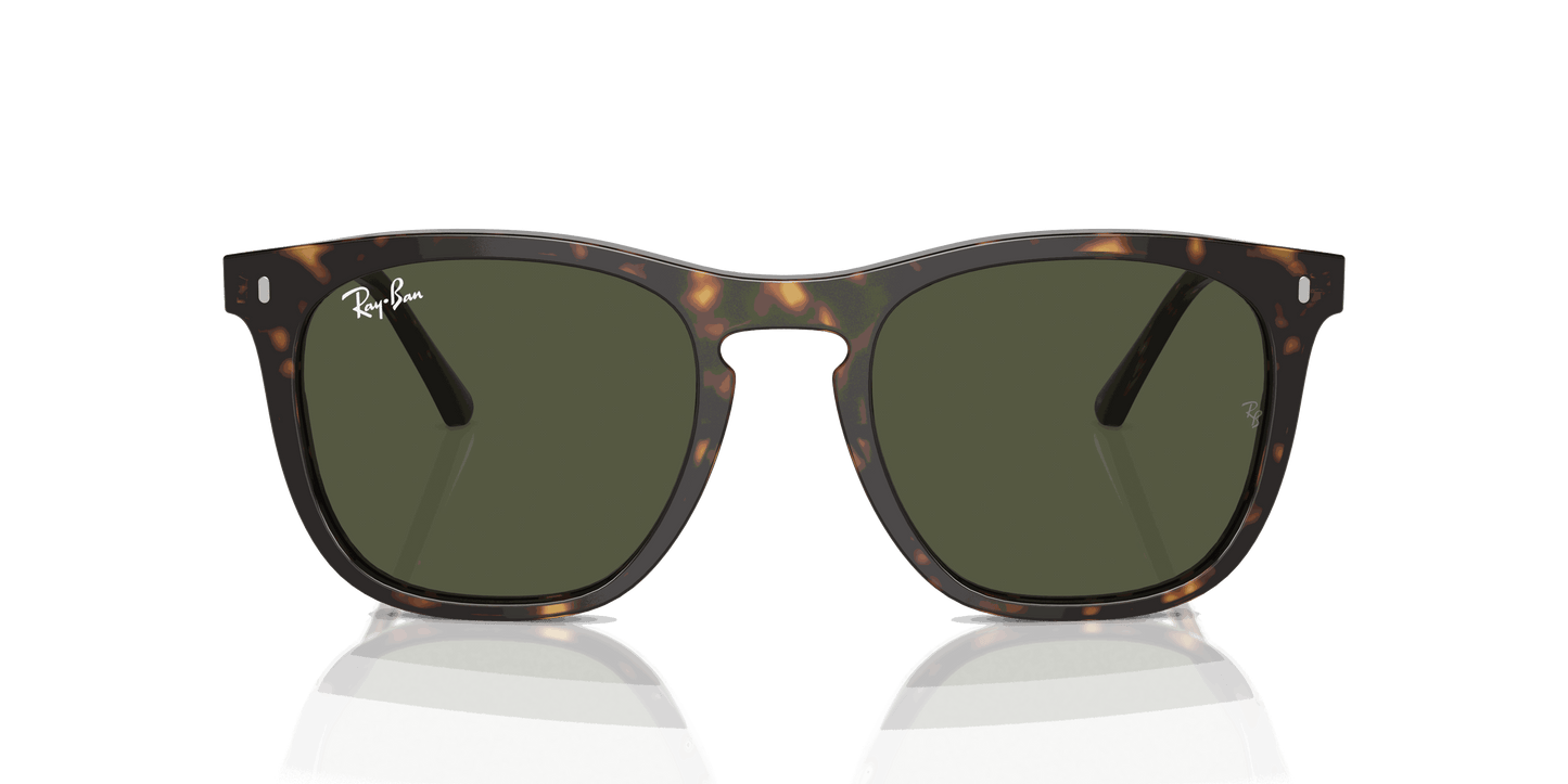 [Green Lenses, Polished Havana Frame]