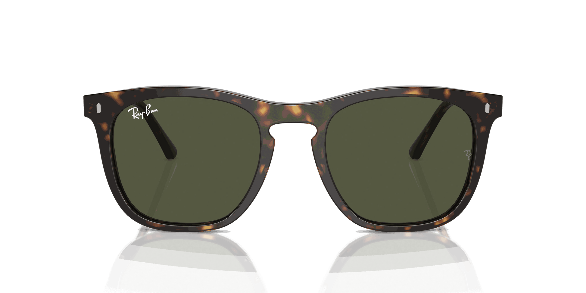 [Green Lenses, Polished Havana Frame]