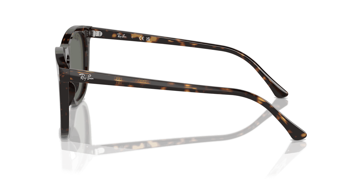 [Green Lenses, Polished Havana Frame]