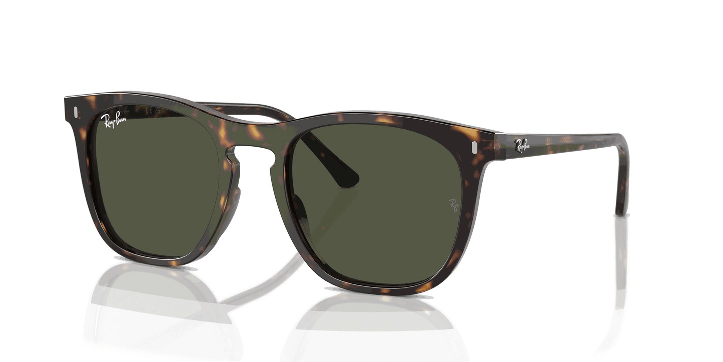 [Green Lenses, Polished Havana Frame]