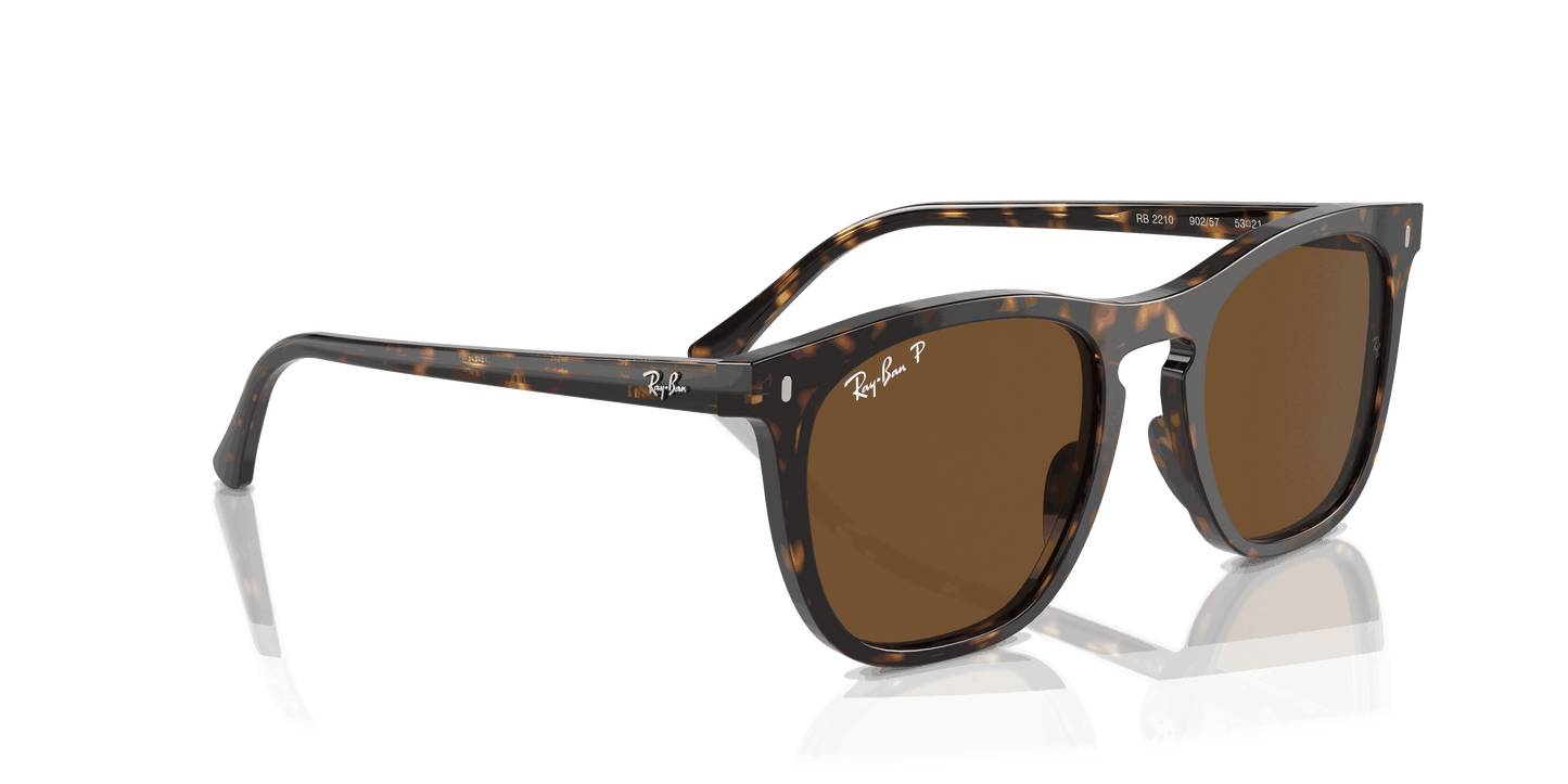[Brown Lenses, Polished Havana Frame]