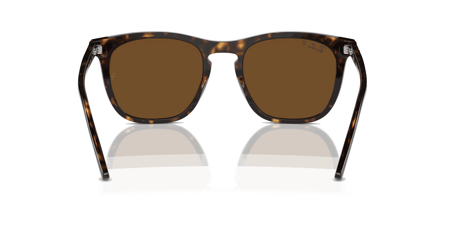 [Brown Lenses, Polished Havana Frame]