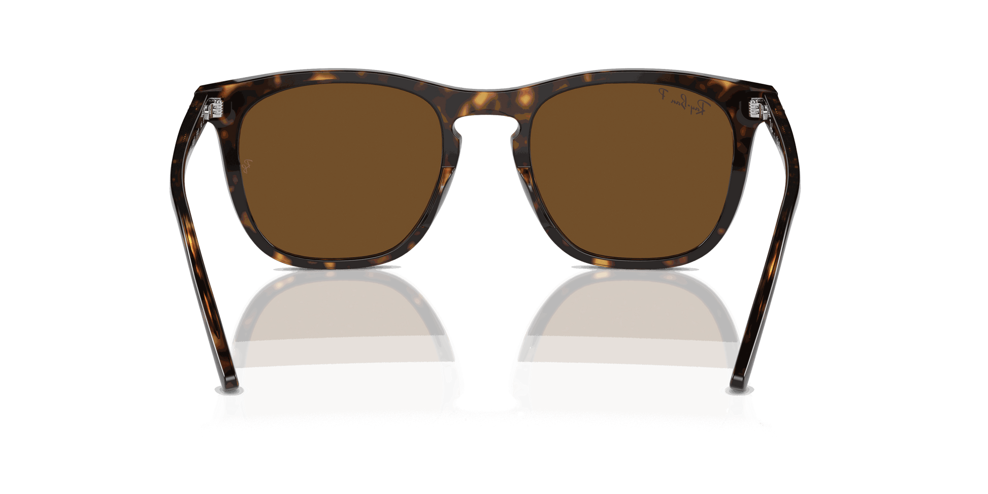 [Brown Lenses, Polished Havana Frame]