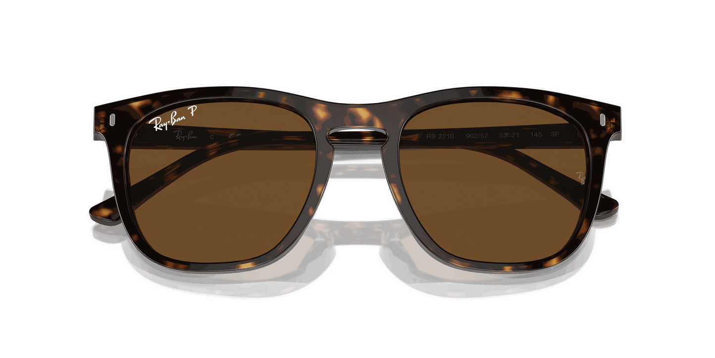 [Brown Lenses, Polished Havana Frame]
