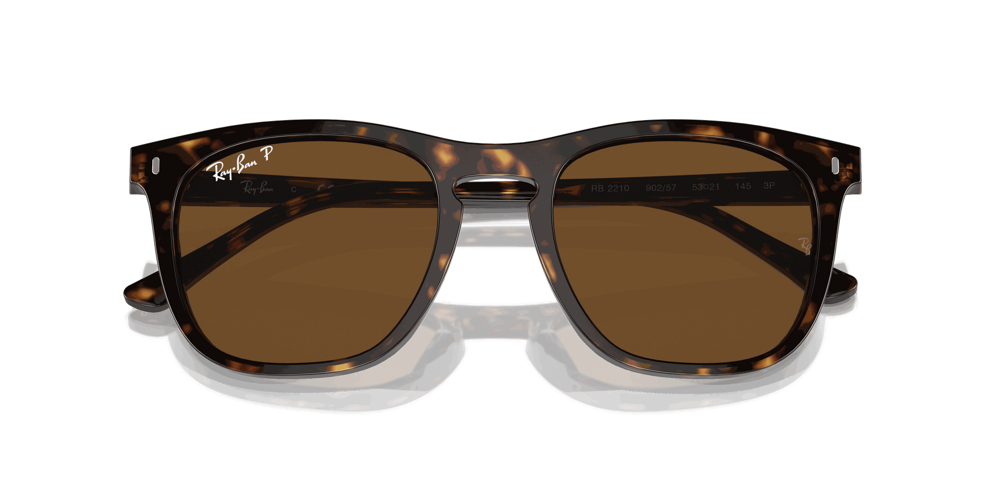 [Brown Lenses, Polished Havana Frame]