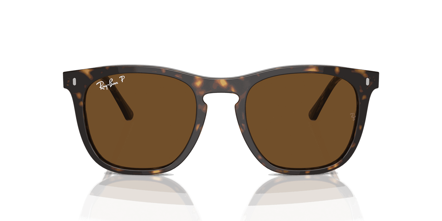 [Brown Lenses, Polished Havana Frame]
