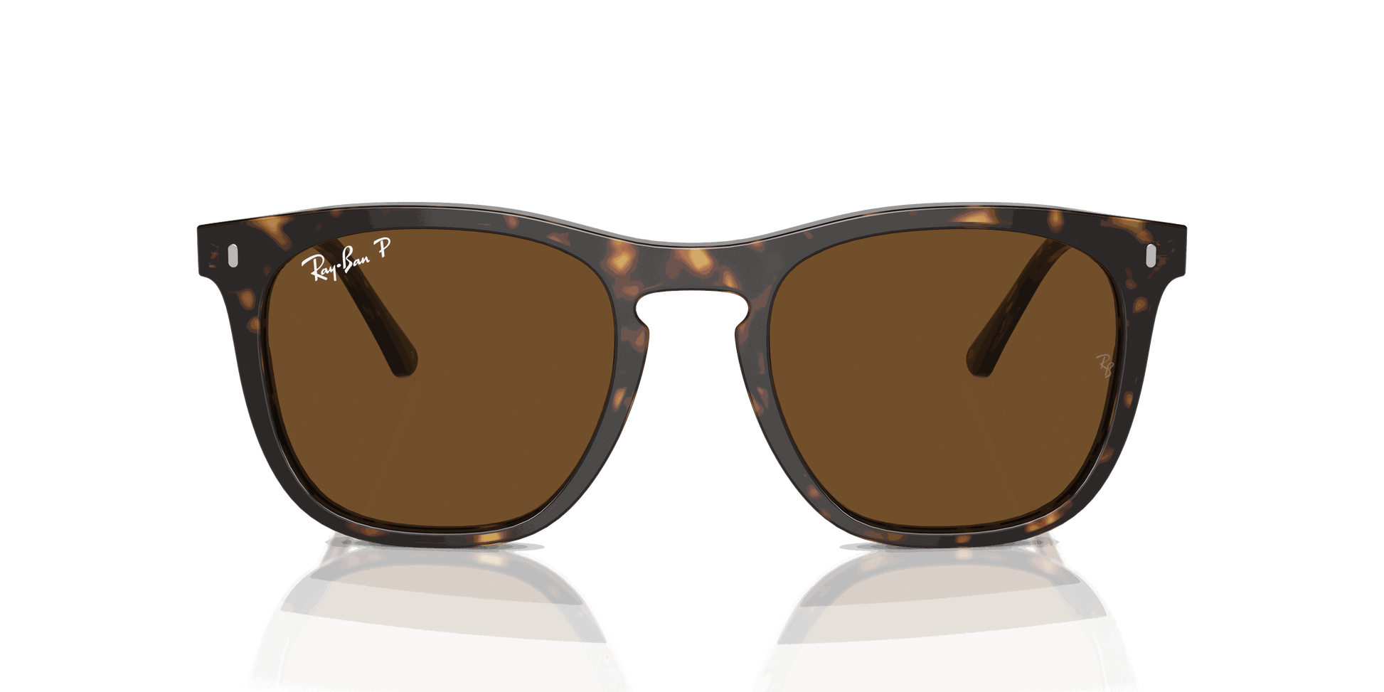 [Brown Lenses, Polished Havana Frame]