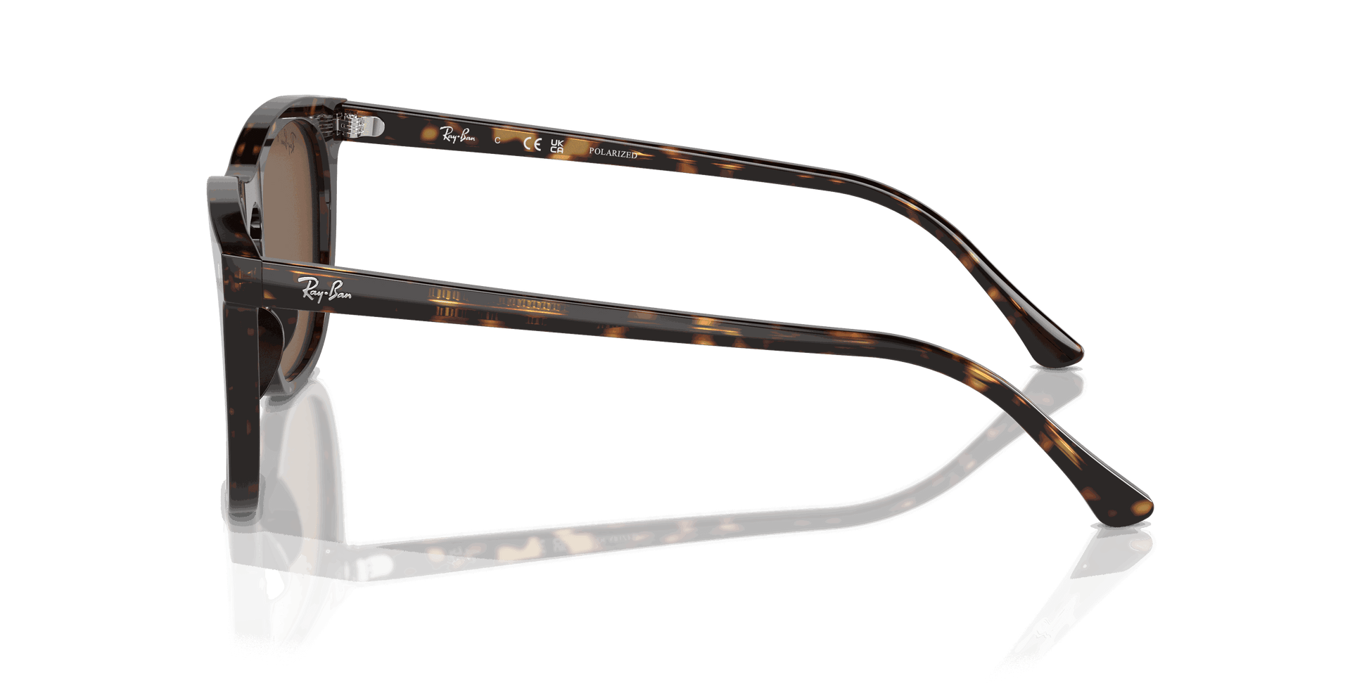 [Brown Lenses, Polished Havana Frame]