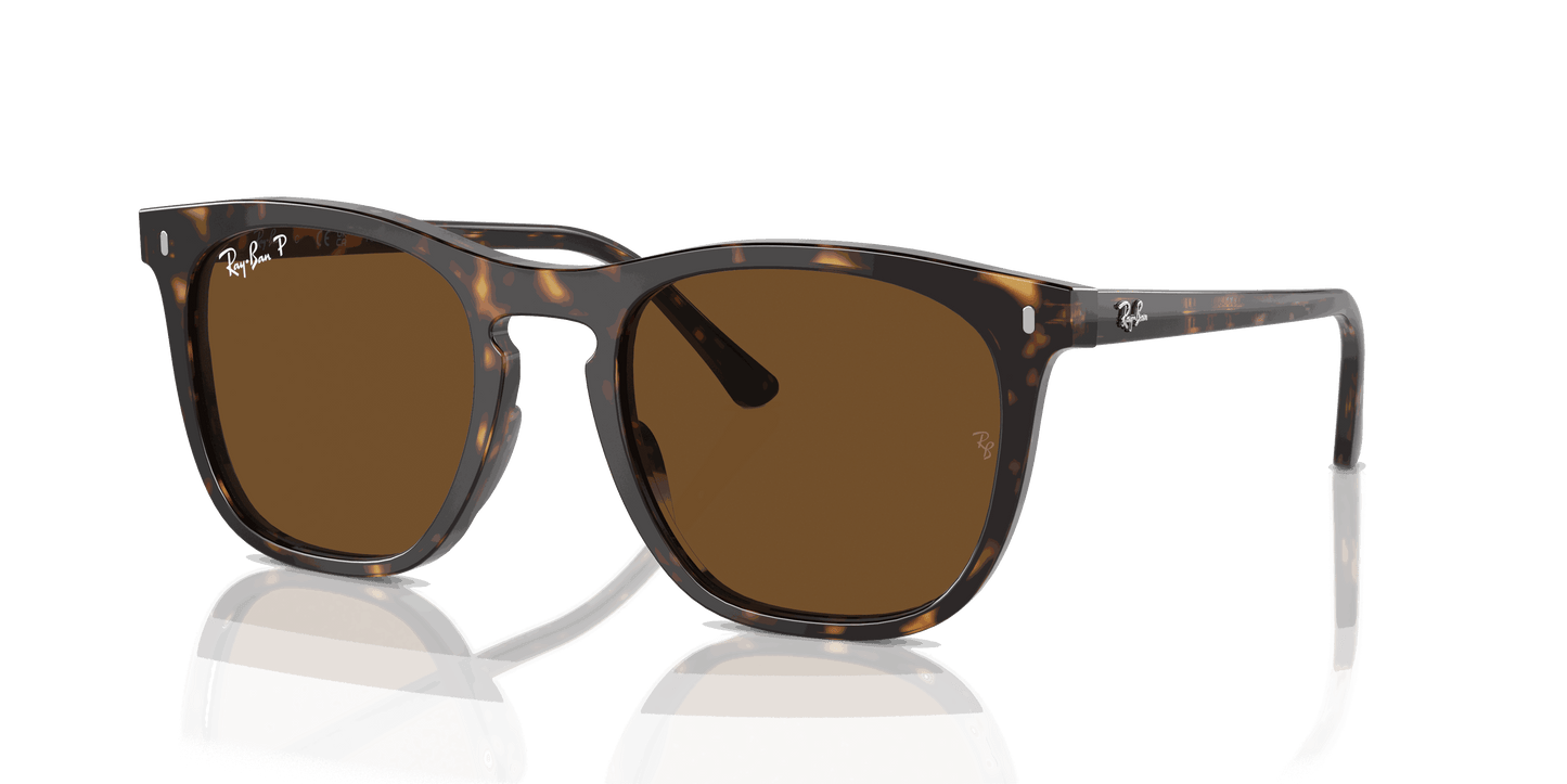 [Brown Lenses, Polished Havana Frame]