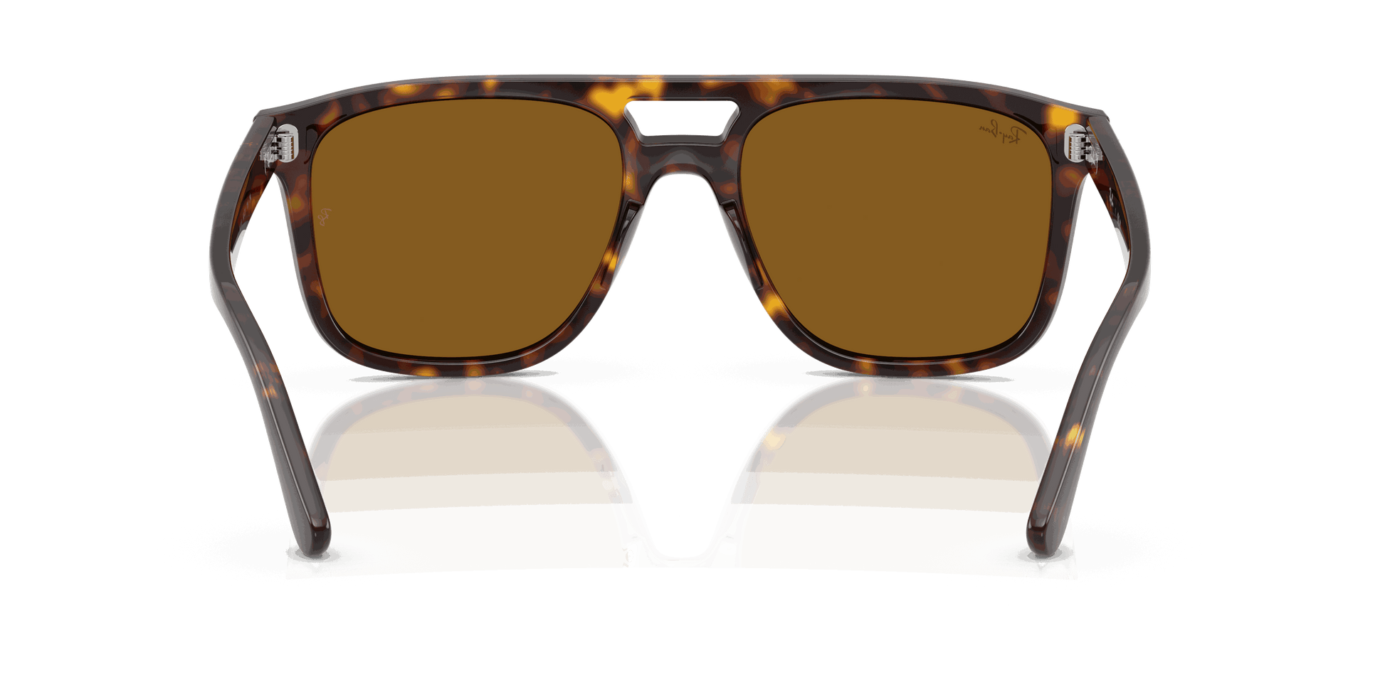 [B-15 Brown Lenses, Polished Havana Frame]