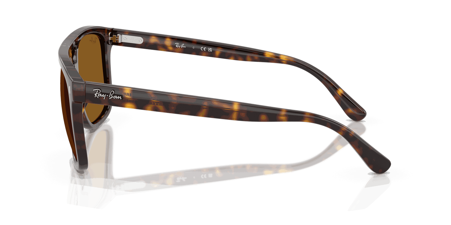 [B-15 Brown Lenses, Polished Havana Frame]