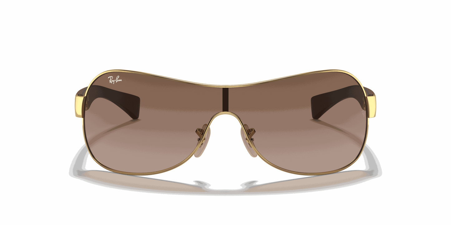 [Brown Gradient Dark Brown Lenses, Polished Arista Gold Frame]