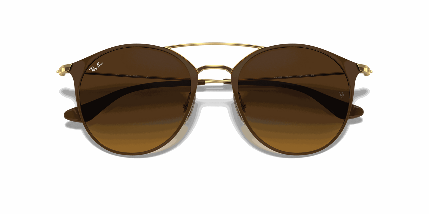 [Brown Gradient Lenses, Polished Brown Frame]