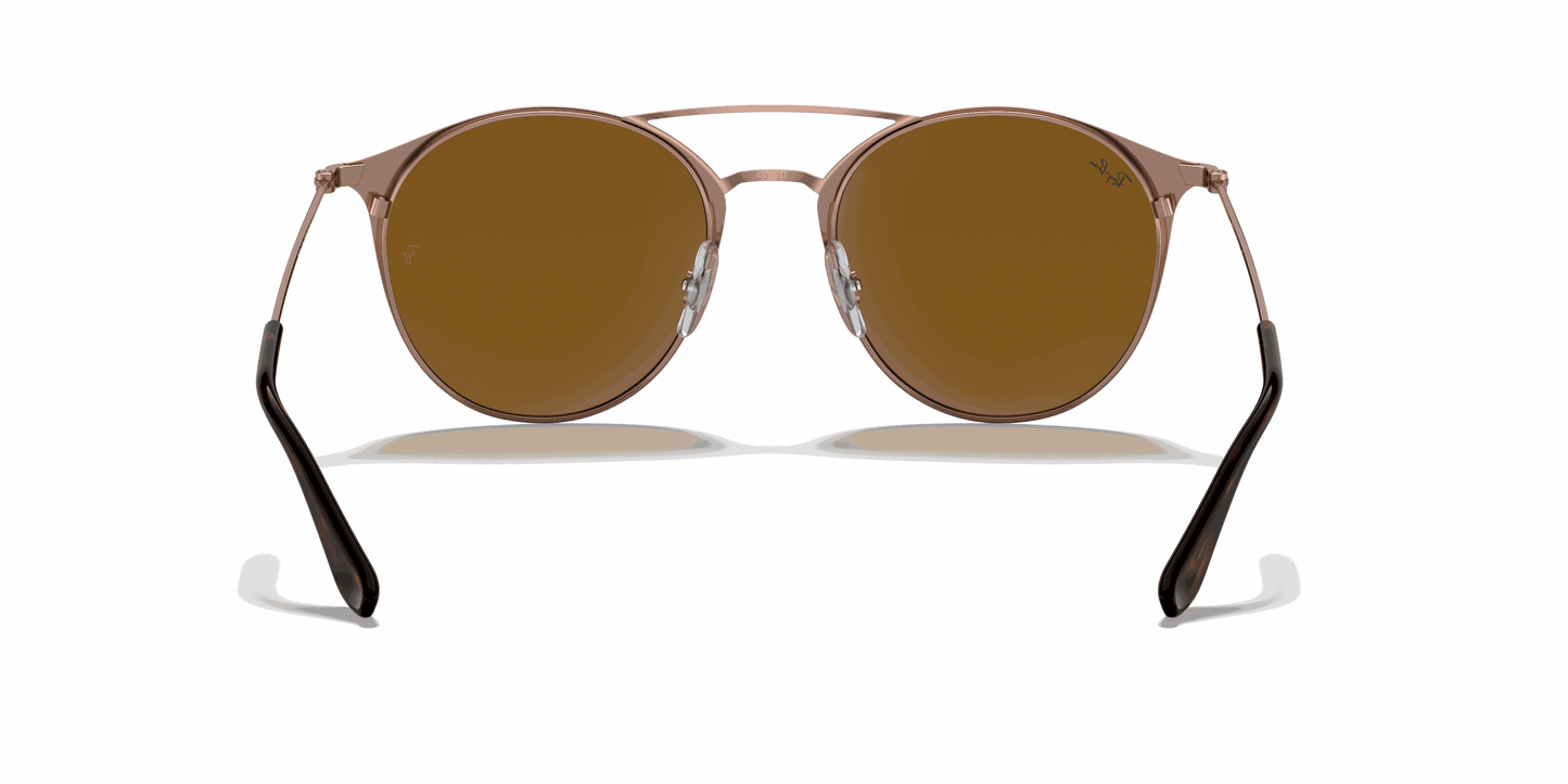 [B-15 Brown Lenses, Polished Havana Frame]