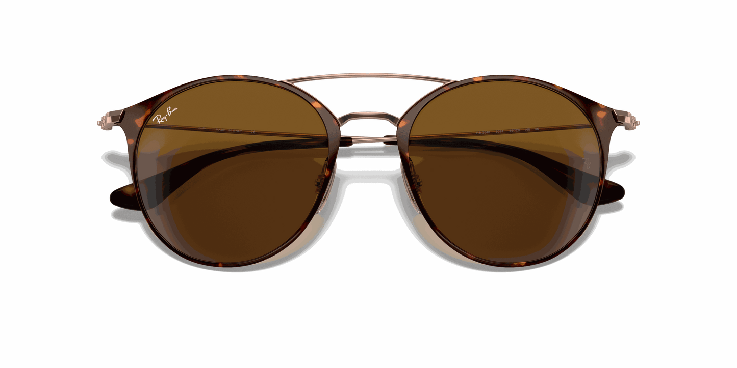 [B-15 Brown Lenses, Polished Havana Frame]
