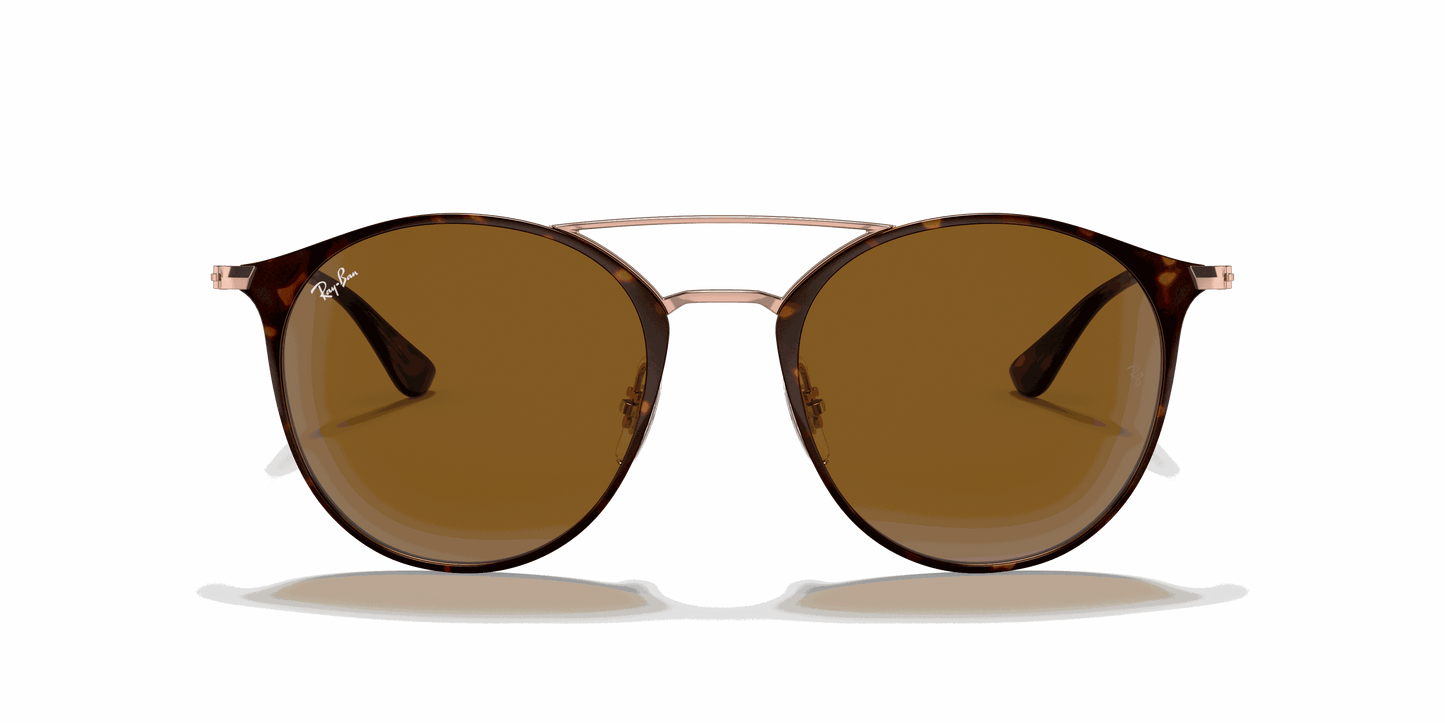 [B-15 Brown Lenses, Polished Havana Frame]