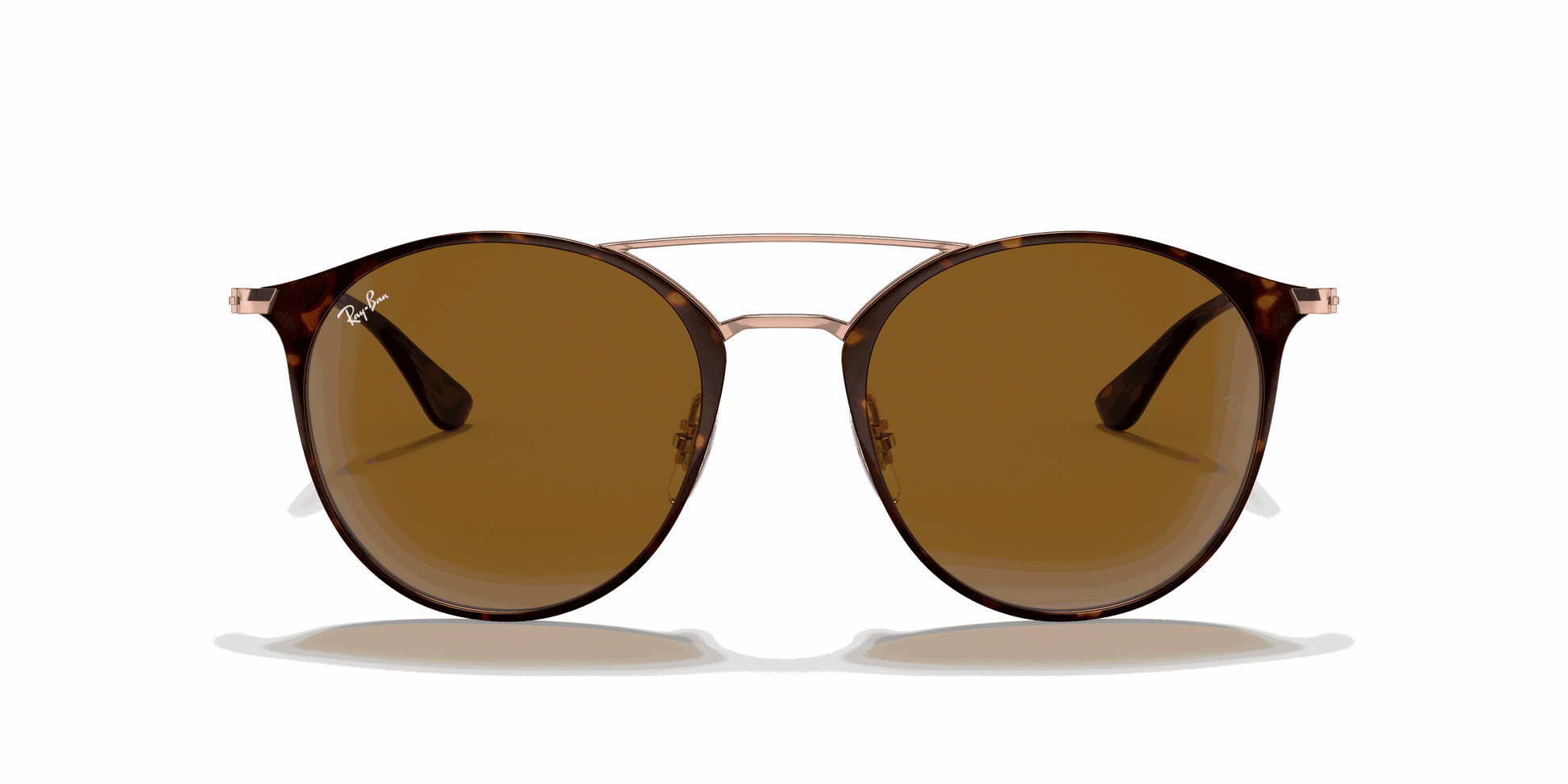 [B-15 Brown Lenses, Polished Havana Frame]