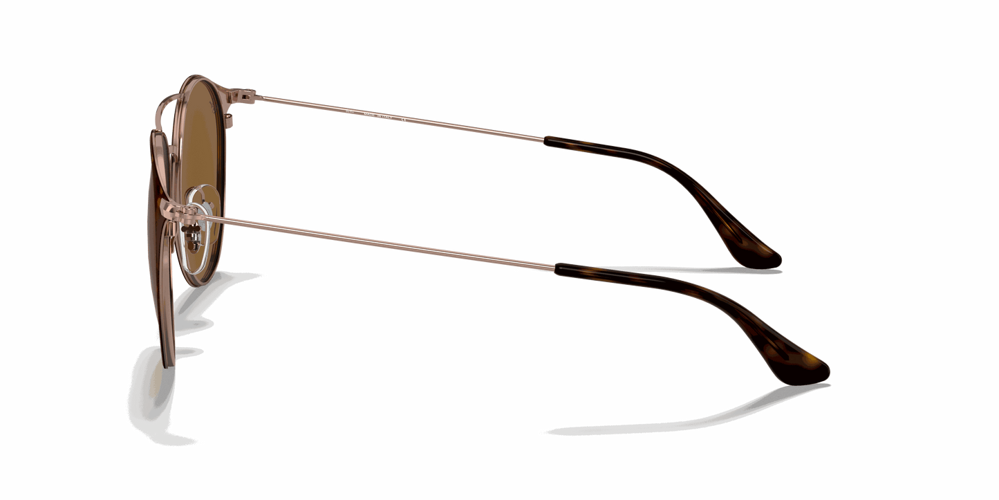 [B-15 Brown Lenses, Polished Havana Frame]