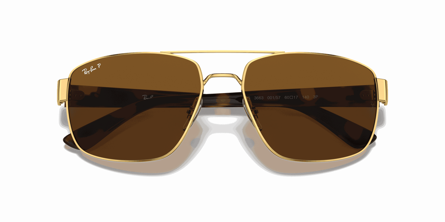 [B-15 Brown Lenses, Polished Arista Gold Frame]