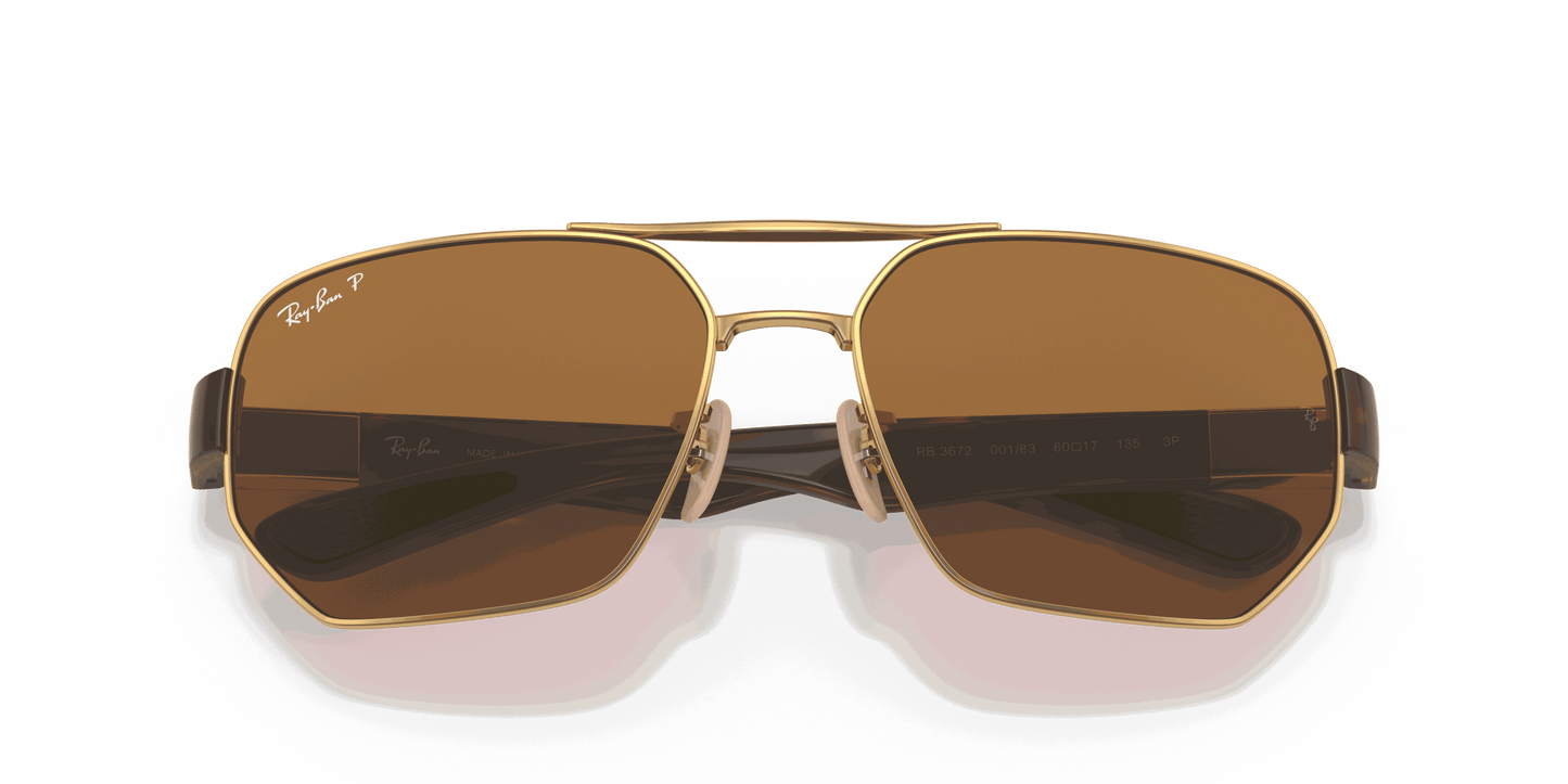 [B-15 Brown Lenses, Polished Arista Gold Frame]