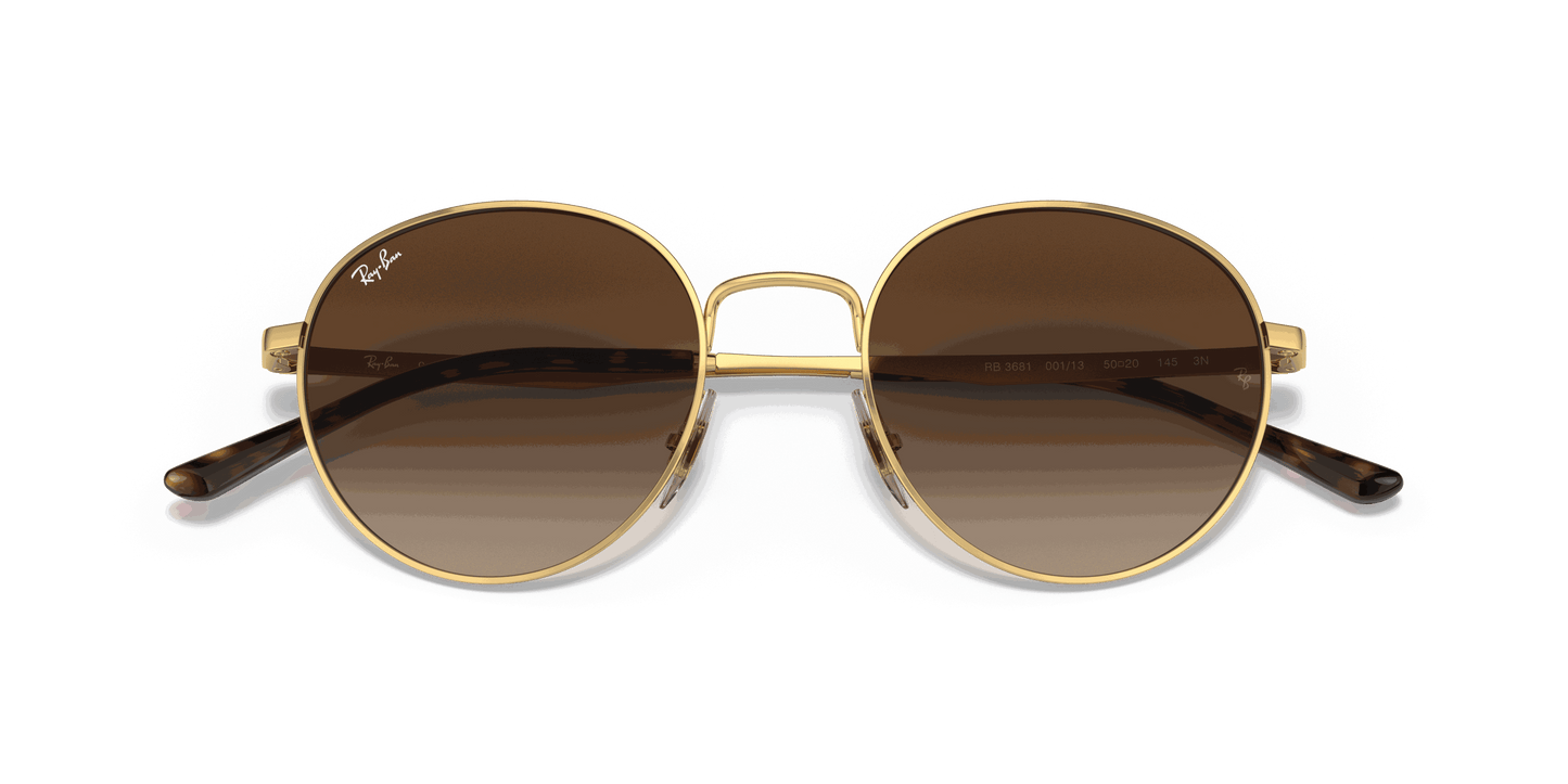 [Gradient Brown Lenses, Polished Arista Gold Frame]