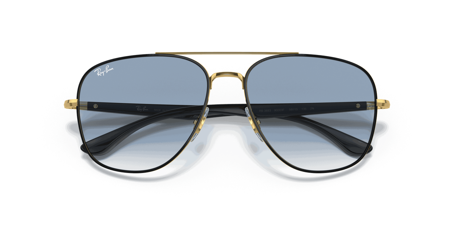 [Blue Lenses, Polished Black On Gold Frame]
