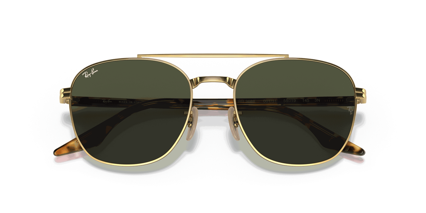 [Green Lenses, Polished Arista Gold Frame]
