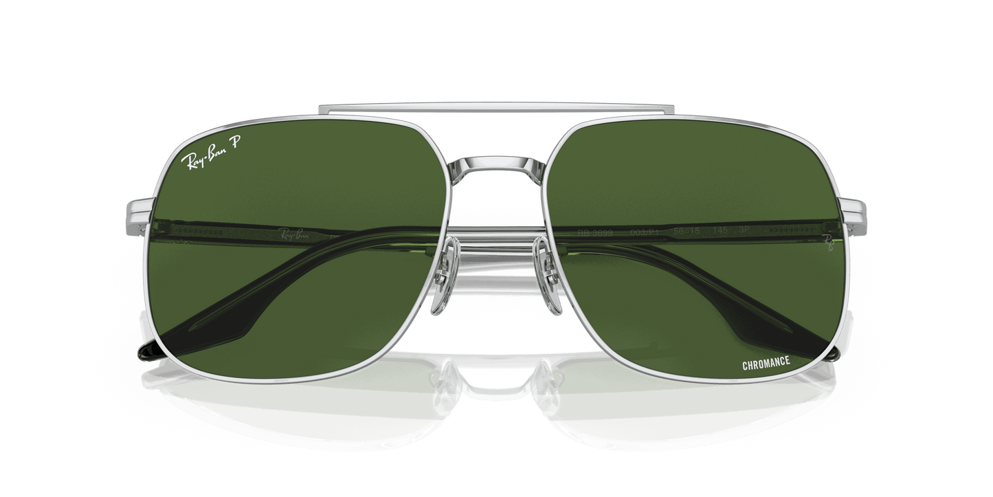 [Dark Green Lenses, Polished Silver Frame]