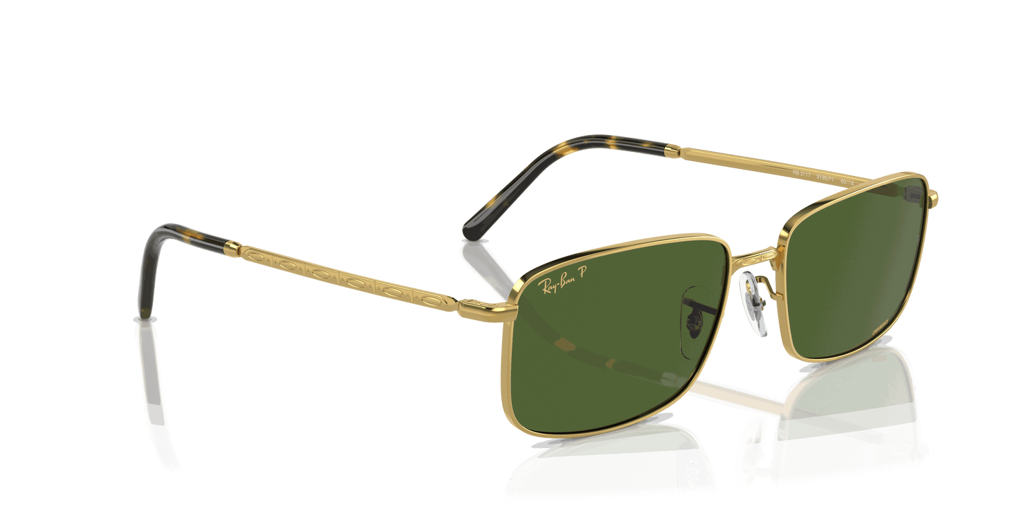 [Dark Green Lenses, Polished Gold Frame]