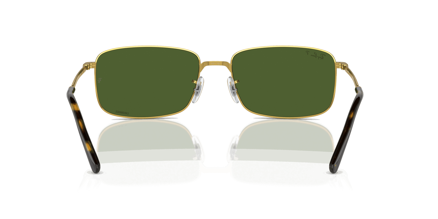 [Dark Green Lenses, Polished Gold Frame]