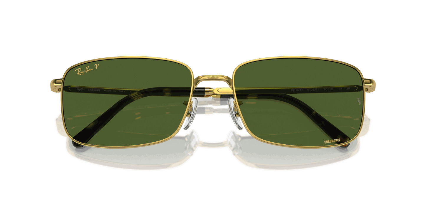 [Dark Green Lenses, Polished Gold Frame]