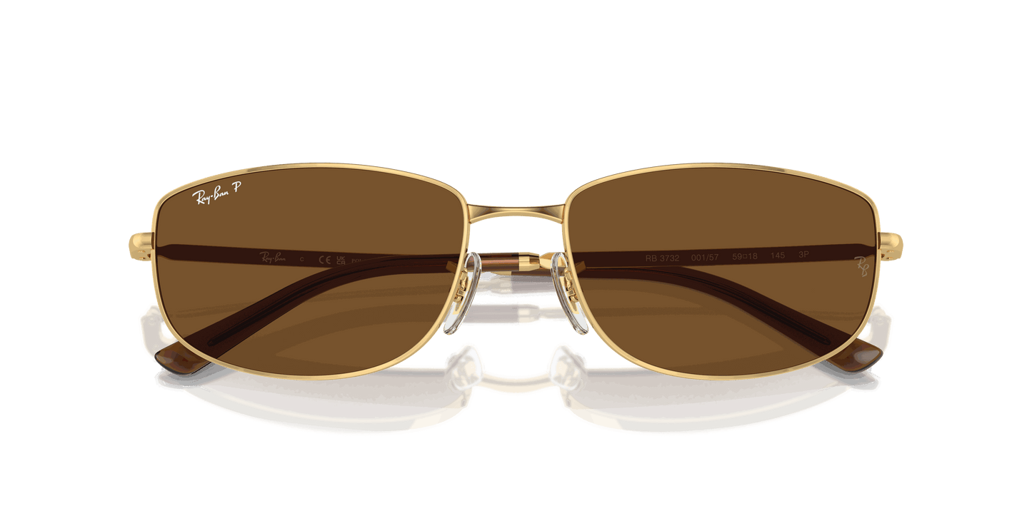 [Brown Lenses, Polished Arista Gold Frame]